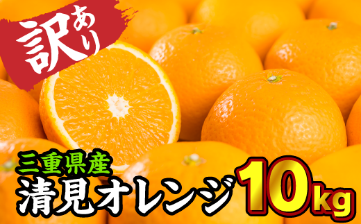 温州みかんの味 × オレンジの香りを持った品種です！
※当商品は訳あり商品です。納得いただいた上でお申し込みください。