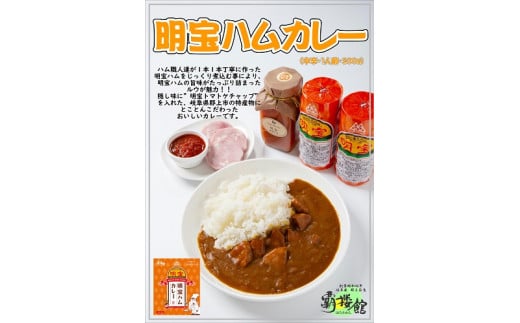 覇楼館 飛騨牛カレー 明宝ハムカレー まめな豆カレー 岐阜県ご当地カレー食べくらべギフトセット １人前 各２食 合計６食セット 贈り物にもおすすめ 岐阜県 ふるさと納税 ふるさとチョイス