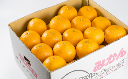 【訳あり】三重県産　清見オレンジ（きよみ） ６kg【出荷目安：３月中旬〜４月中旬】 II-39