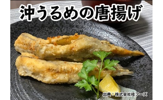 高知のお魚フライパーティーセット 沖うるめのメンチカツ6枚 沖うるめのフライ6枚 野菜入りすり身カツ6枚 沖うるめの唐揚げ12尾 めひかりの唐揚げ 500ｇ 桂フーズ 冷凍便 沖ウルメ ニギス 高知県高知市 ふるさと納税 ふるさとチョイス