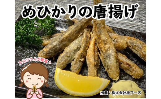 高知のお魚フライパーティーセット 沖うるめのメンチカツ6枚 沖うるめのフライ6枚 野菜入りすり身カツ6枚 沖うるめの唐揚げ12尾 めひかりの唐揚げ 500ｇ 桂フーズ 冷凍便 沖ウルメ ニギス 高知県高知市 ふるさと納税 ふるさとチョイス