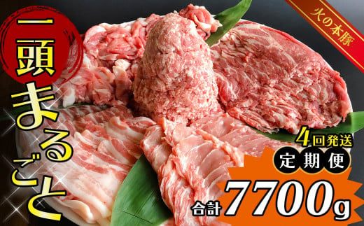 K20 【定期4回発送】 火の本豚 一頭まるごと便 合計7700g 豚肉 熊本 グランプリ受賞