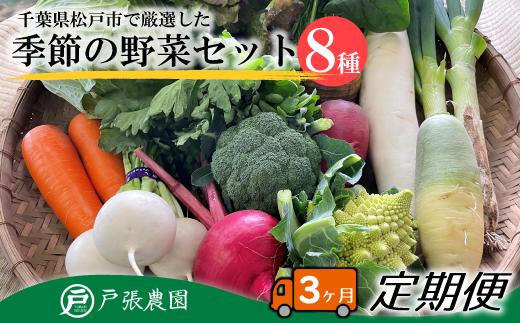 EJ002 【毎月定期便3回】戸張農園の厳選おまかせ野菜セット