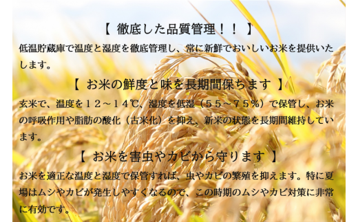 アイテムID:460033の画像2枚目