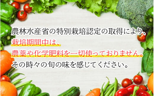 農薬 化学肥料不使用の美味しいにこだわりたい方へお届け 夏野菜 初秋野菜の詰め合わせセット A 福井県坂井市 ふるさとチョイス ふるさと納税サイト