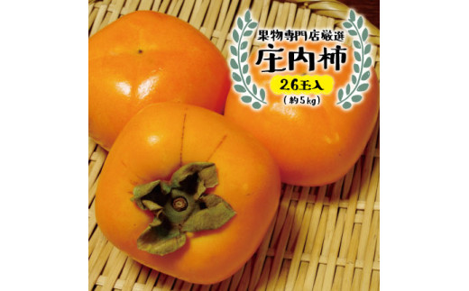 SB0281 酒田の果物専門店厳選 庄内柿 約5kg(26玉入)
