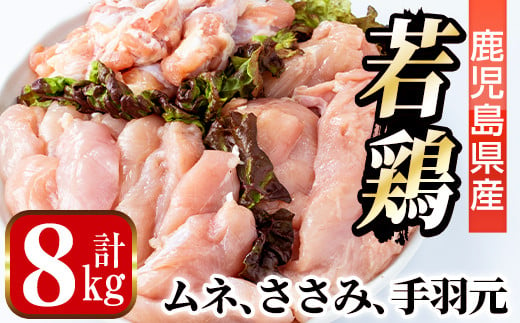 i449 若鶏ムネ肉・手羽元・ささみ(計8kg)鹿児島県産の鶏肉を3種お届け【まつぼっくり】