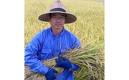 【 玄米 】 ぴかまる 5kg 低アミロース米 保存袋付き