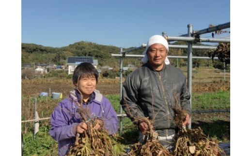 先行予約】おひさま農園のソラマメ「打越みどり」3.8kg - 千葉県館山市