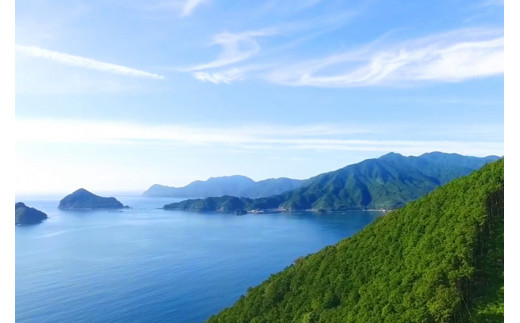 自然豊かな東紀州尾鷲