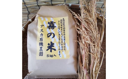 米 令和5年産 亀岡盆地『霧の米』 白米 5kg＜アスカ有機農園＞《令和5年 2023年産 特別栽培米 コシヒカリ 米》