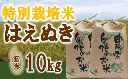 山形県三川町 ふるさと納税の返礼品一覧 21年 ふるさと納税ガイド