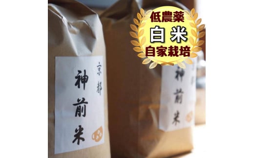 【定期便】京都・神前米キヌヒカリ5kg×3回☆減農薬・自家栽培米生産農家直送