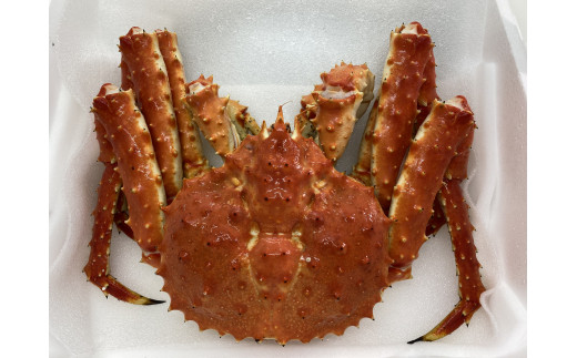 本堅タラバ蟹 冷凍 2 5 2 6 148 北海道雄武町 ふるさとチョイス ふるさと納税サイト