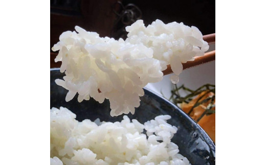 京都・神前米キヌヒカリ10kg☆減農薬・自家栽培米生産農家直送！精米（クリーン白米）したてをお届け