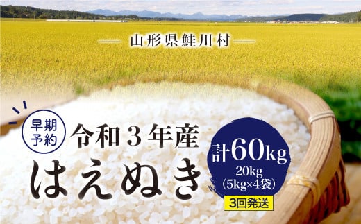 令和3年産米早期予約 鮭川村産 はえぬき定期便60kg kg 3回発送 山形県鮭川村 ふるさと納税 ふるさとチョイス