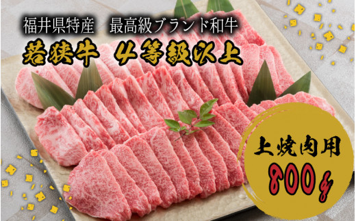 肉研の若狭牛上焼肉用 800g 4等級以上 C 1902 福井県坂井市 ふるさと納税 ふるさとチョイス