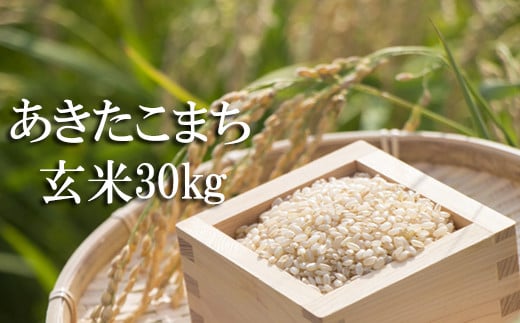 【あきたこまち】 玄米 30kg （10kg×3袋） ／ 新米 米 産地直送 【かきのうえ】