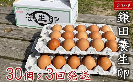[定期便]鎌田養生卵 30個 ×3ヵ月