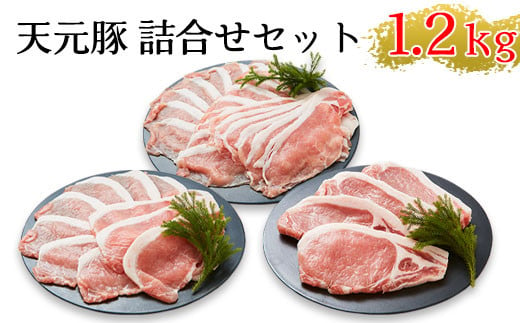 天元豚 よくばり詰合せセット 計1.2kg しゃぶしゃぶ 焼肉 とんかつ 豚肉 [009-001] 1319095 - 山形県米沢市