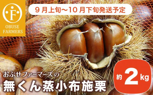 無くん蒸小布施栗 約2kg おぶせファーマーズ 22年9月上旬 10月下旬発送 生栗 くり 果物 フルーツ クール便 先行予約 数量限定 冷蔵便 長野県産 信州産 秋の味覚 ご当地 特産品 名産 日本三大栗 長野県小布施町 ふるさとチョイス ふるさと納税サイト