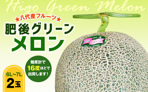 八代産 フルーツ 肥後グリーン メロン 6L~7L(2玉)