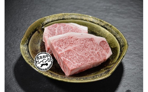 鳥取和牛ロース＆オレイン５５ロースステーキ食べ比べセット