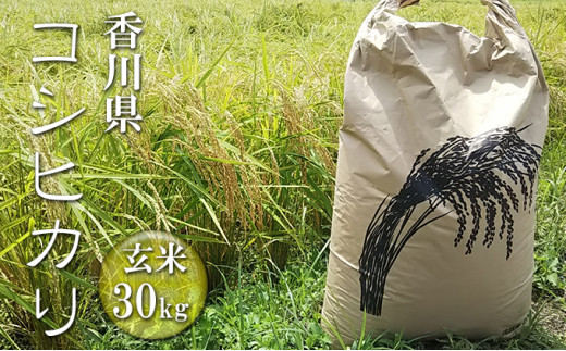 №4631-2022]はなまる農園 令和5年 新米 香川県産「コシヒカリ（玄米