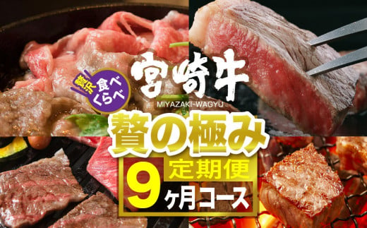 宮崎牛食べ比べ贅の極み 9ヶ月コース 肉 牛 牛肉 定期便