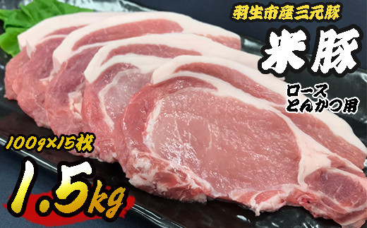 豚肉 三元豚 1.5kg (100g×15) 間中さん家 米豚 ロース とんかつ トンテキ ステーキ ブランド 250447 - 埼玉県羽生市