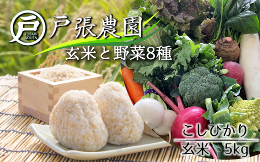 EJ008【戸張農園】厳選おまかせ野菜セット＆お米5kg（こしひかり 玄米）