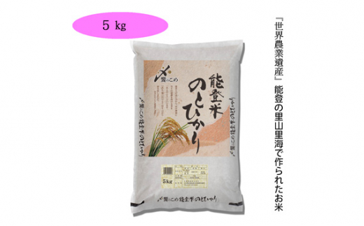 No 187 能登米 のとひかり 5kg 5kg 1袋 お米 精米 白米 石川県 石川県宝達志水町 ふるさと納税 ふるさとチョイス