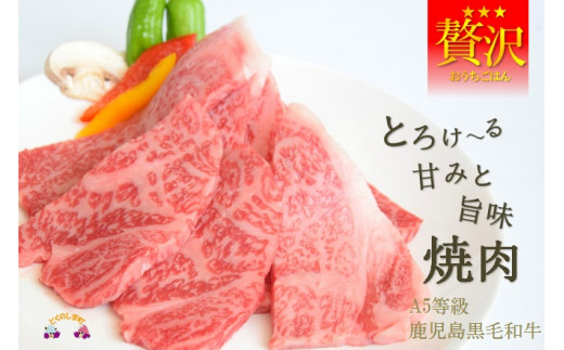 A5等級鹿児島黒毛和牛のとろけ~る贅沢食感の焼肉をお届け致します。