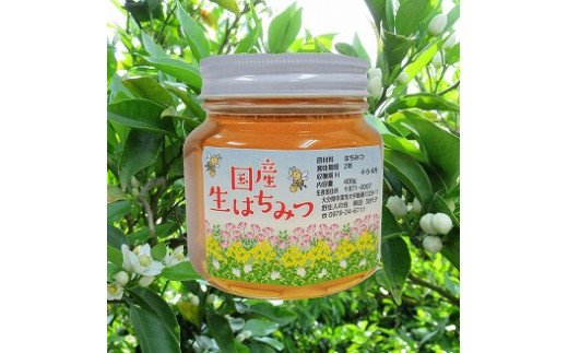 中津・耶馬渓のはちみつ みかん 400g×1瓶 国産 蜂蜜 ハチミツ みかん