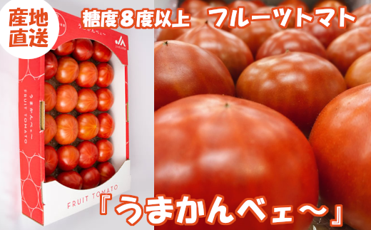 ＜先行予約＞フルーツトマト『うまかんべェ～』　24～30個入り　【11218-0328】