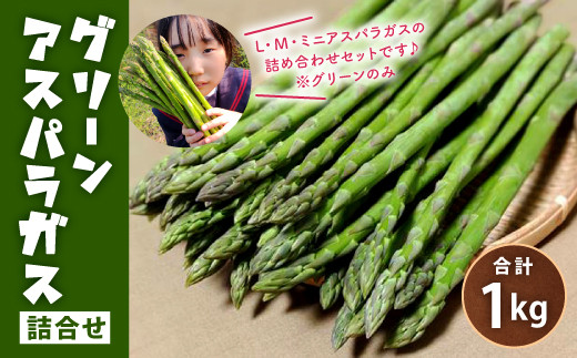 14 27 グリーン アスパラガス 詰め合わせ 1kg 野菜 佐賀県 佐賀県鳥栖市 ふるさと納税 ふるさとチョイス