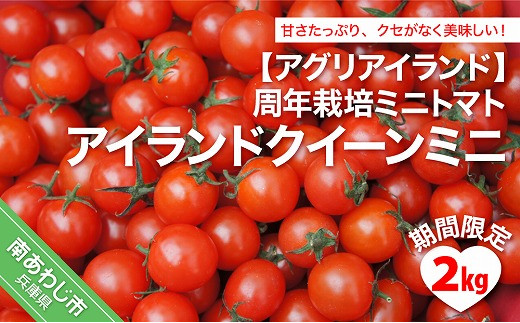 【期間限定】周年栽培ミニトマト「アイランドクイーンミニ」2kg 264088 - 兵庫県南あわじ市