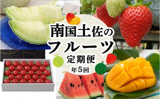 6 9月受付 年5回お届け 季節のフルーツセット 21年度受付 高知県南国市 ふるさと納税 ふるさとチョイス