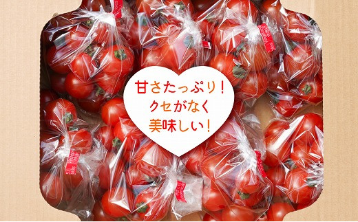 【期間限定】【アグリアイランド】周年栽培ミニトマト「アイランドクイーンミニ」2kg