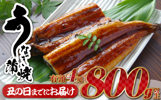 A598 丑の日までにお届け うなぎの蒲焼４尾 計８００g以上 ２０２１年６月 ７月配送 福岡県新宮町 ふるさと納税 ふるさと チョイス