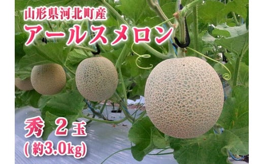 アールスメロン ２玉 ３kg 山形県河北町産 A 山形県河北町 ふるさと納税 ふるさとチョイス