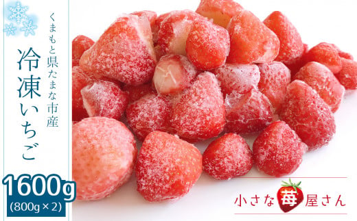 DR1 冷凍いちご 玉名市産 1600g（800g×2）≪小さな苺屋さん≫