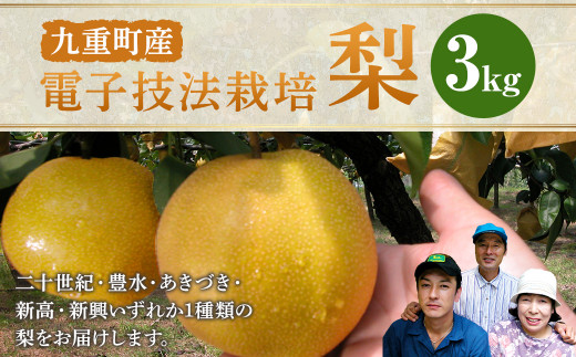 二十世紀・豊水・あきづき・新高・新興いずれか1種類の梨をお届けします。