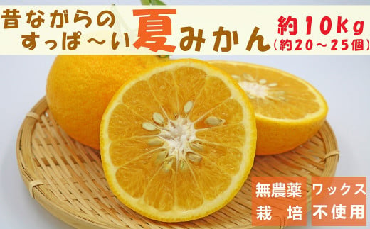 【旬の柑橘】フレッシュですっぱ～い夏みかん 約10kg　[0008-0029] 571962 - 千葉県鴨川市