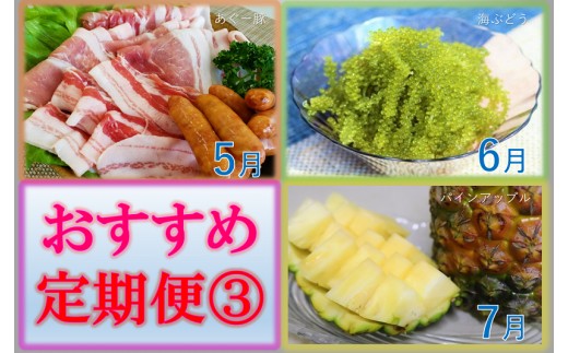 沖縄県東村 おすすめ定期便 沖縄県東村 ふるさと納税 ふるさとチョイス 沖縄県東村 おすすめ定期便 沖縄県東村 ふるさと納税 ふるさとチョイス