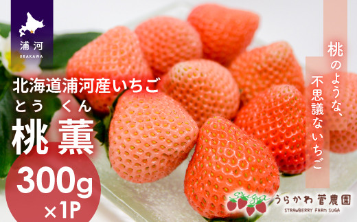 令和4年1月上旬頃から発送 北海道浦河産いちご 桃薫 300g 1p 13 279 北海道浦河町 ふるさと納税 ふるさとチョイス