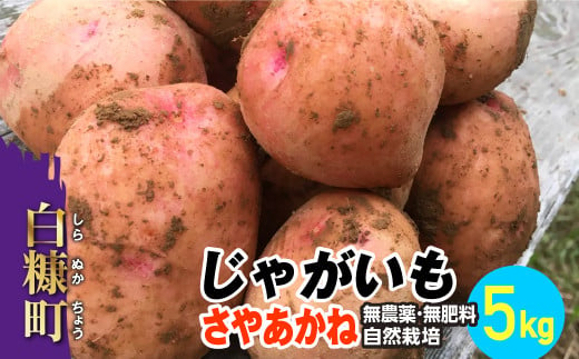 じゃがいも（さやあかね）無農薬・無肥料・自然栽培・北海道産