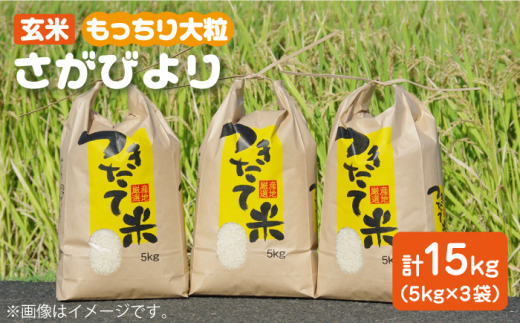 [をお届け]令和4年産 玄米 さがびより 15kg ( 5kg×3袋 ) [武富農園]