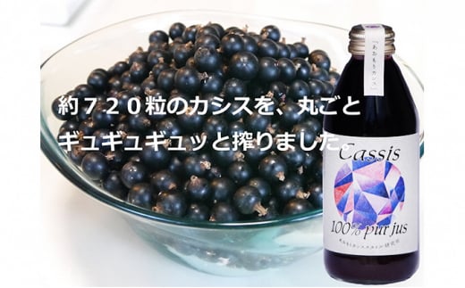 カシス果汁100％ジュース（無加糖・無添加）　250ml×2本 684680 - 青森県弘前市