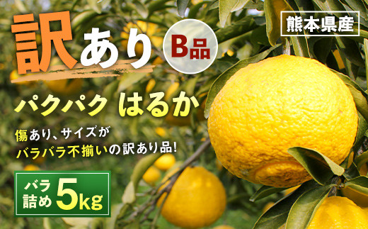 パクパクはるか 5kg バラ詰め 訳あり（B品）